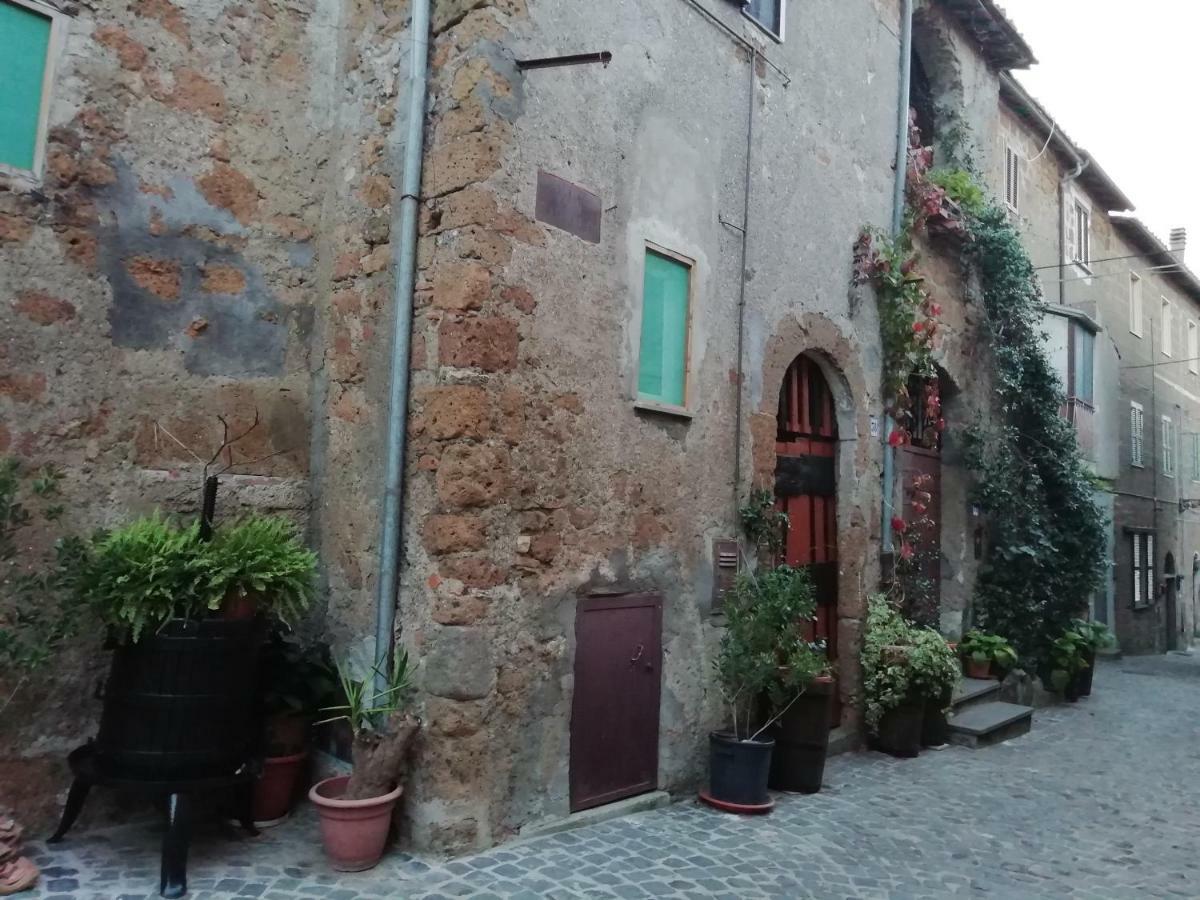 Barbarano Romano Relax Dal Caos Di Citta 아파트 외부 사진