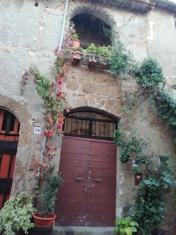Barbarano Romano Relax Dal Caos Di Citta 아파트 외부 사진
