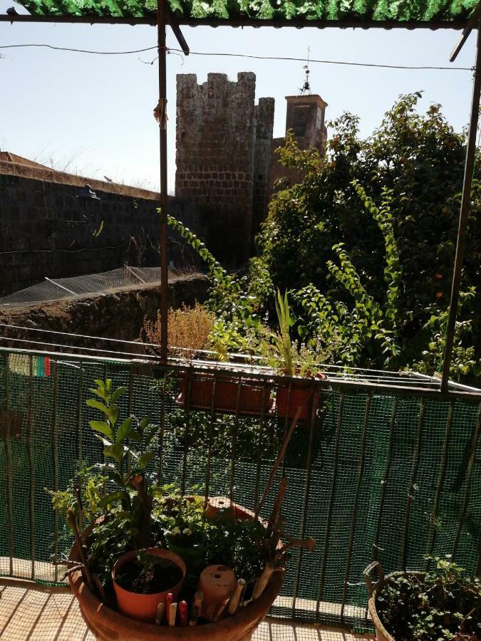 Barbarano Romano Relax Dal Caos Di Citta 아파트 외부 사진