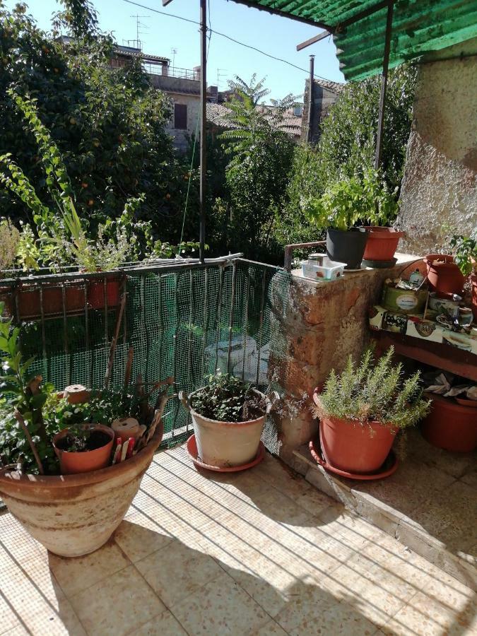 Barbarano Romano Relax Dal Caos Di Citta 아파트 외부 사진